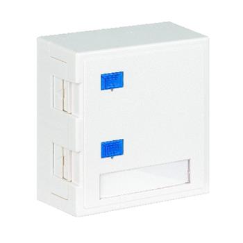 Box/krabica Schrack Technik na omietku pre 2x keystone RJ45