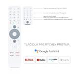 Diaľkový ovládač Big pre Homatics  